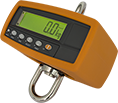 HS300 Hanging Scale 300kg with BTM-V1
