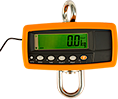 HS300 Hanging Scale 300kg with BTM-V1